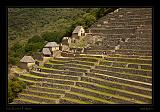 Machu Piccu 054